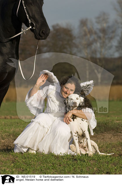 angel, friesian horse and dalmatian / NS-01519