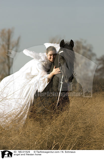 Engel und Friese / angel and friesian horse / NS-01529