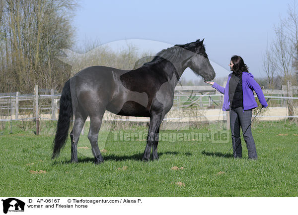 Frau mit Friese / woman and Friesian horse / AP-06167