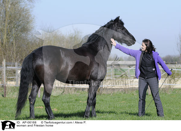 Frau mit Friese / woman and Friesian horse / AP-06168