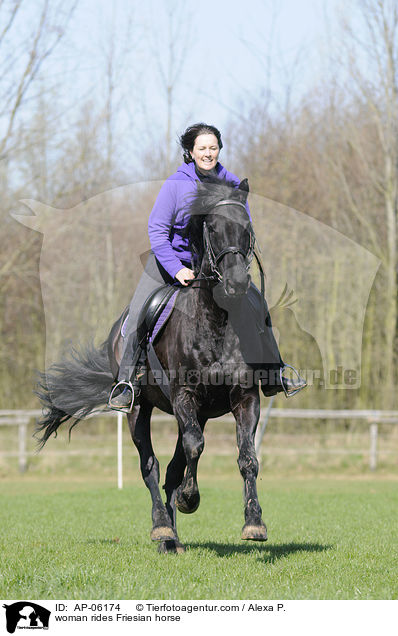 Frau reitet Friese / woman rides Friesian horse / AP-06174