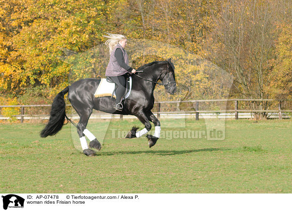 Frau reitet Friese / woman rides Frisian horse / AP-07478
