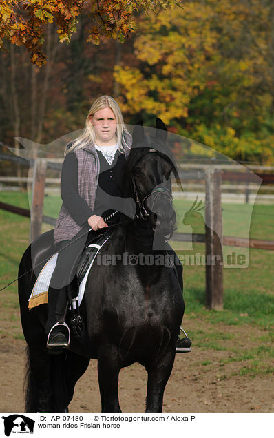 Frau reitet Friese / woman rides Frisian horse / AP-07480