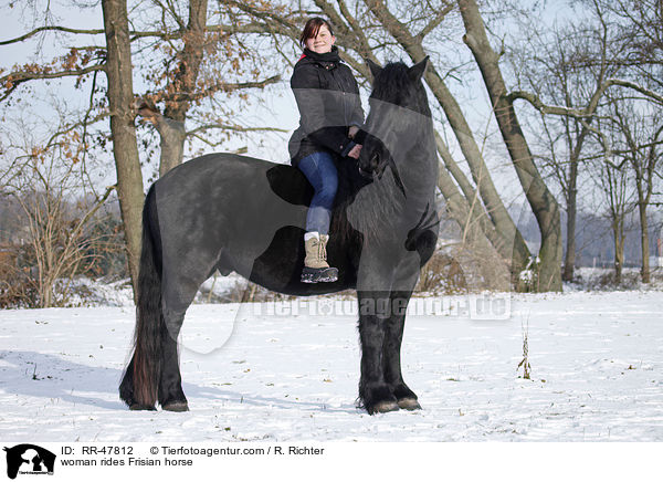 Frau reitet Friese / woman rides Frisian horse / RR-47812