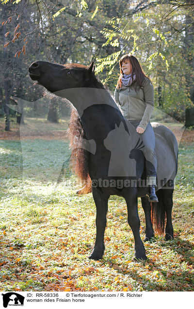 woman rides Frisian horse / RR-58336