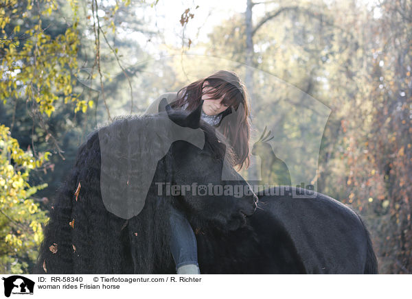 Frau reitet Friese / woman rides Frisian horse / RR-58340