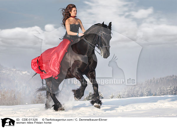 Frau reitet Friese / woman rides Frisian horse / CDE-01326