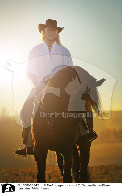 Mann reitet Friese / man rides Frisian horse / CDE-01342