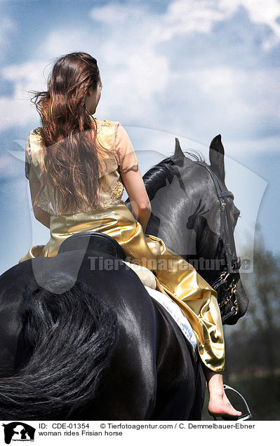 Frau reitet Friese / woman rides Frisian horse / CDE-01354