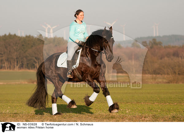Frau reitet Friese / woman rides Frisian horse / NS-03928