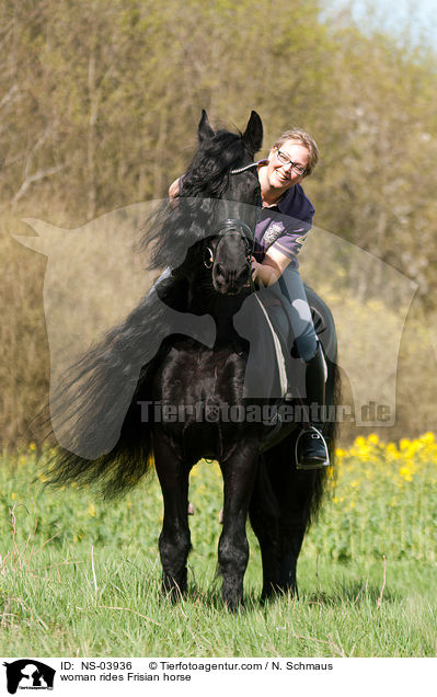 Frau reitet Friese / woman rides Frisian horse / NS-03936