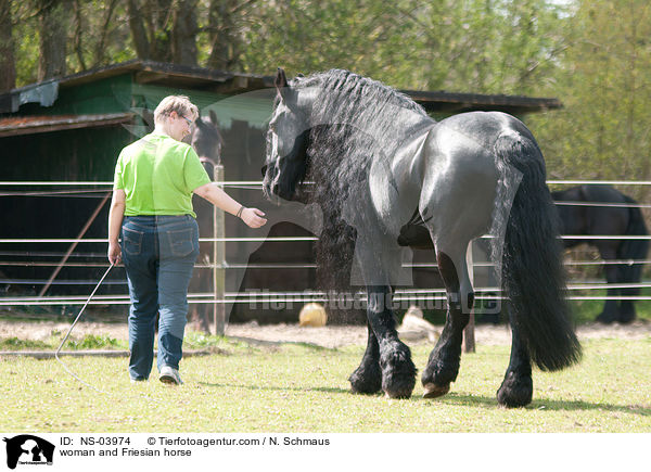 Frau und Friese / woman and Friesian horse / NS-03974