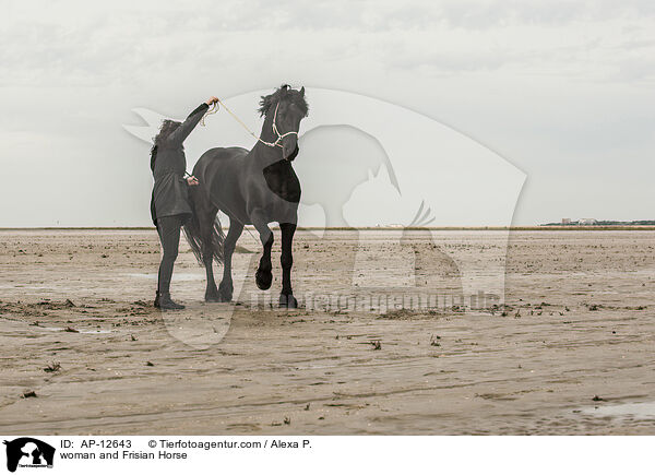 Frau und Friese / woman and Frisian Horse / AP-12643