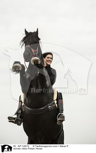 Frau reitet Friese / woman rides Frisian Horse / AP-12672