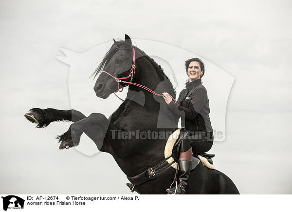 Frau reitet Friese / woman rides Frisian Horse / AP-12674
