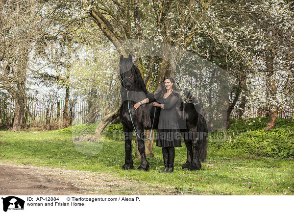 woman and Frisian Horse / AP-12884
