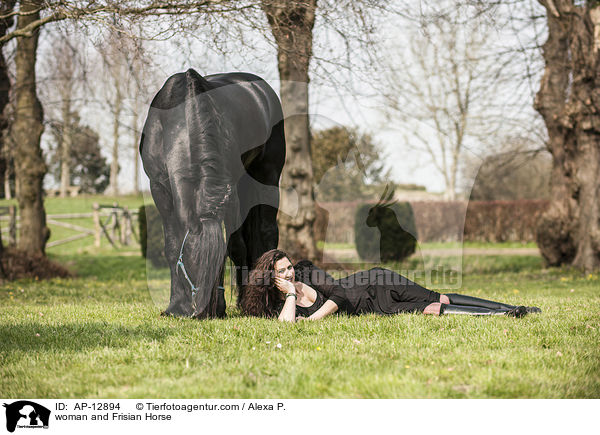 Frau und Friese / woman and Frisian Horse / AP-12894