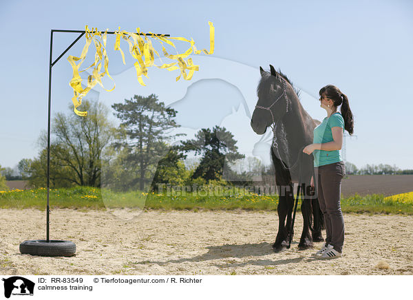 Gelassenheitstraining / calmness training / RR-83549