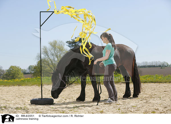 Gelassenheitstraining / calmness training / RR-83551