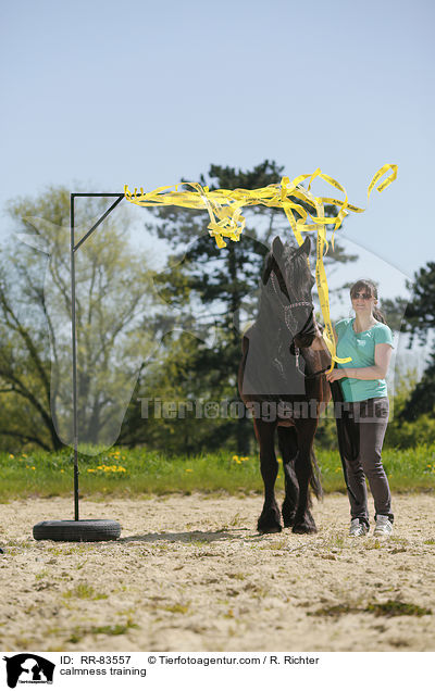 Gelassenheitstraining / calmness training / RR-83557
