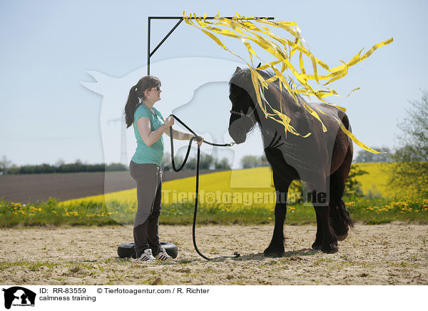 Gelassenheitstraining / calmness training / RR-83559