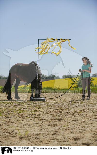 Gelassenheitstraining / calmness training / RR-83564