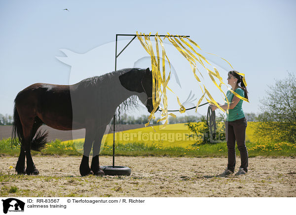 Gelassenheitstraining / calmness training / RR-83567