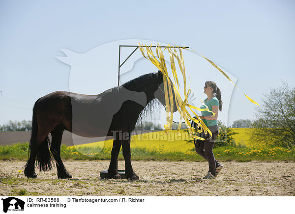 Gelassenheitstraining / calmness training / RR-83568