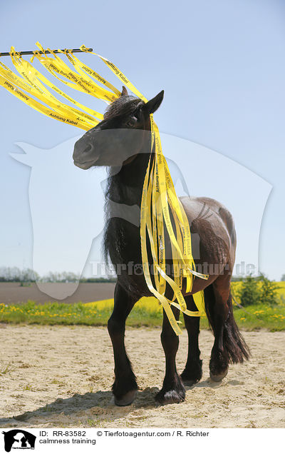 Gelassenheitstraining / calmness training / RR-83582