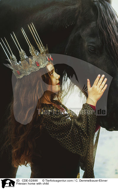 Friese mit Kind / Friesian horse with child / CDE-02886