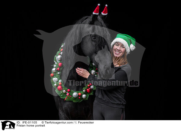 Friese Portrait / Frisian horse portrait / IFE-01105