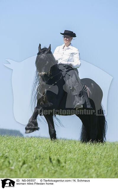woman rides Friesian horse / NS-06557