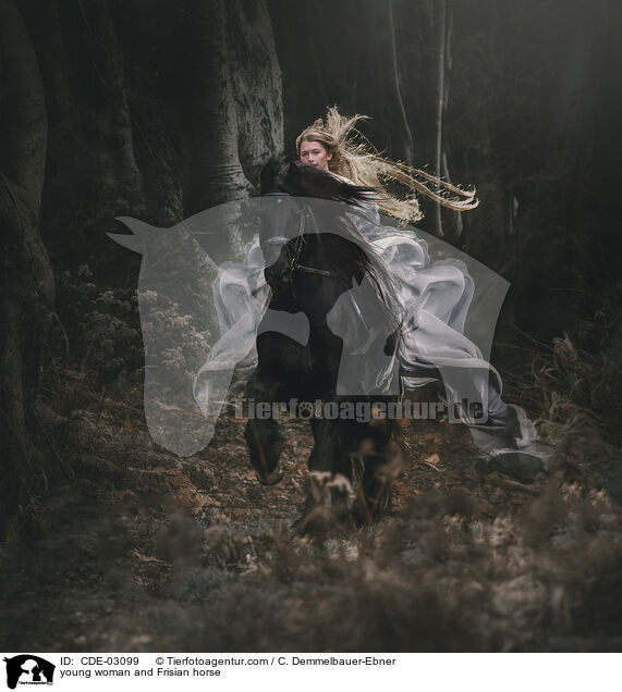 young woman and Frisian horse / CDE-03099