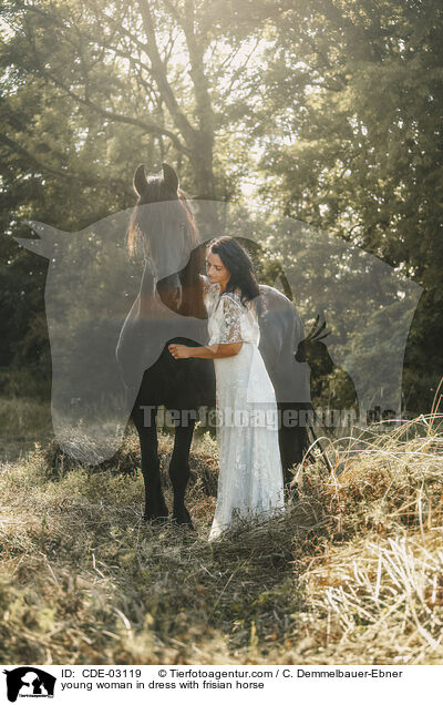 young woman in dress with frisian horse / CDE-03119