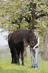 young woman with Friesian Horse