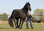 Frisian shows trick