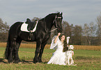 angel, friesian horse and dalmatian