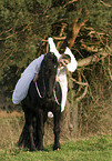 angel and friesian horse