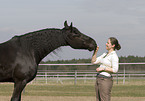 woman and frisian horse