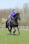 woman rides Friesian horse