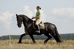 woman rides Frisian horse