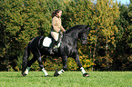 woman rides Friesian horse