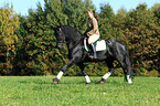 woman rides Friesian horse