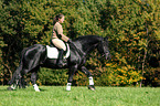 woman rides Friesian horse