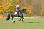 woman rides Frisian horse
