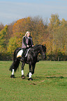 woman rides Frisian horse