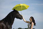 Friesian Horse Portrait