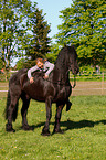 woman with Friesian horse