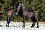girl with Frisian horse