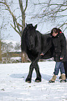 woman and Frisian horse
